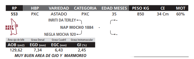 Lote LOTE 53
