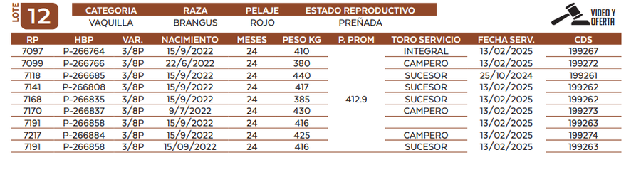 Lote LOTE 12