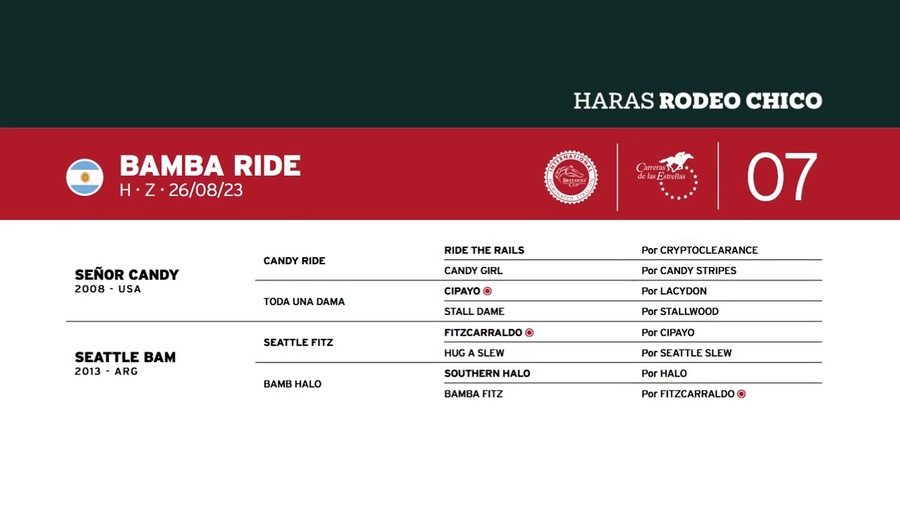 Lote BAMBA RIDE