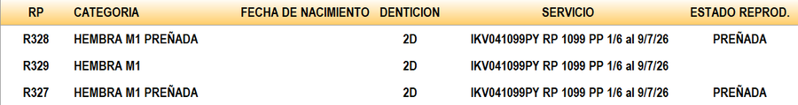 Lote LOTE 19