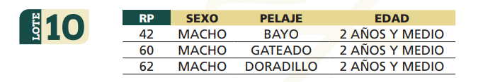 Lote LOTE 10