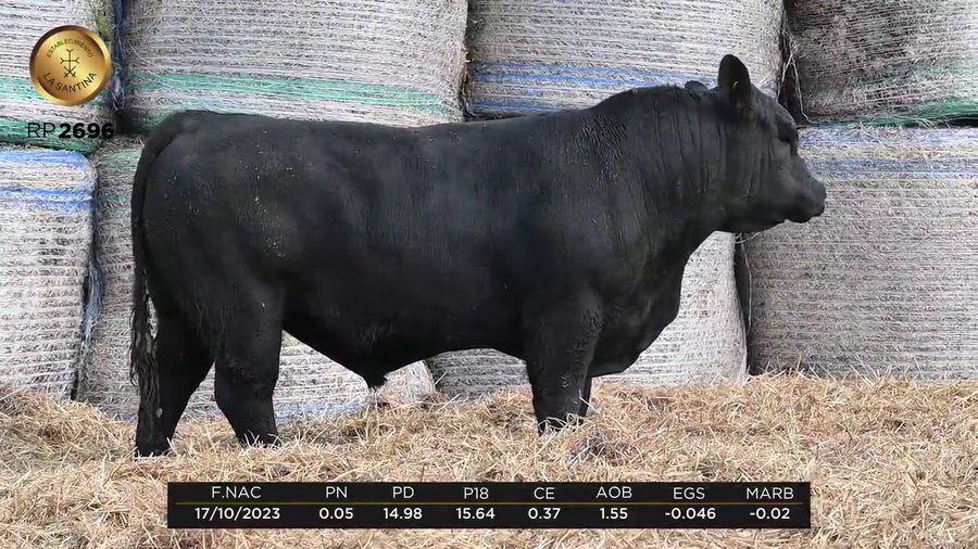 Lote LA SANTINA LS 720 1637-2696