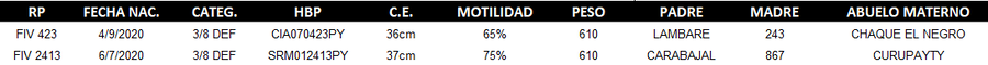 Lote LOTE 56 - DUO