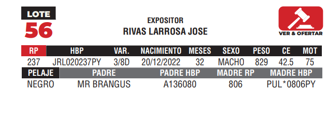 Lote LOTE 56 - CAMPO