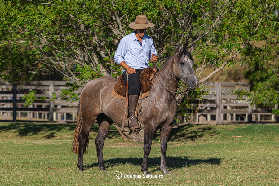 Lote MI NENA DE LA COLINA
