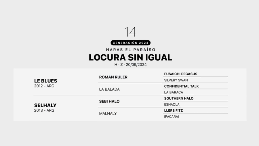 Lote LOCURA SINIGUAL