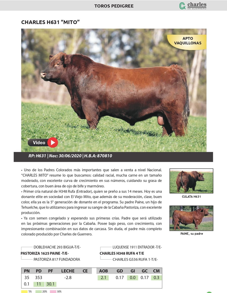 Lote TORO PEDIGREE