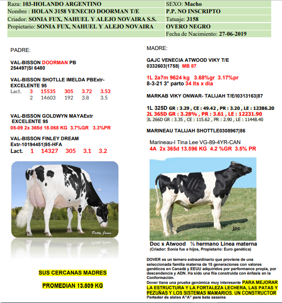 Lote Lote 95 Sonia Fux rp 3158