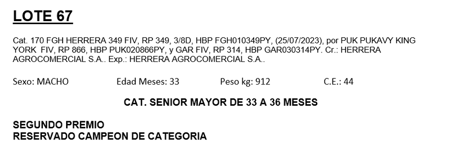 Lote LOTE 67