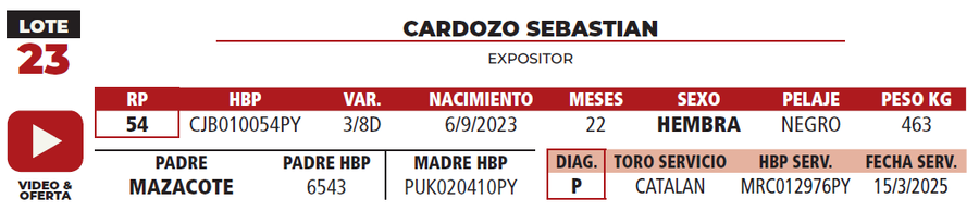 Lote LOTE 23