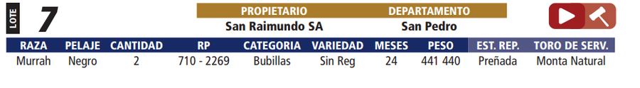 Lote LOTE 7