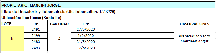 Lote 4 Vaquillonas en Las Rosas, Santa Fe