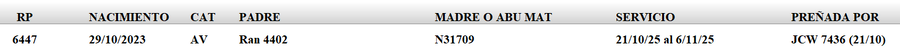 Lote LOTE 31