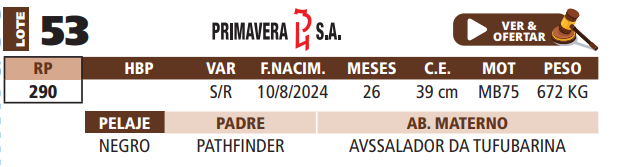 Lote LOTE 53