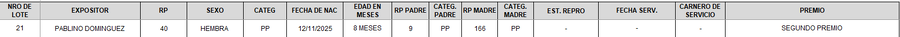 Lote LOTE 21 - CAMPO