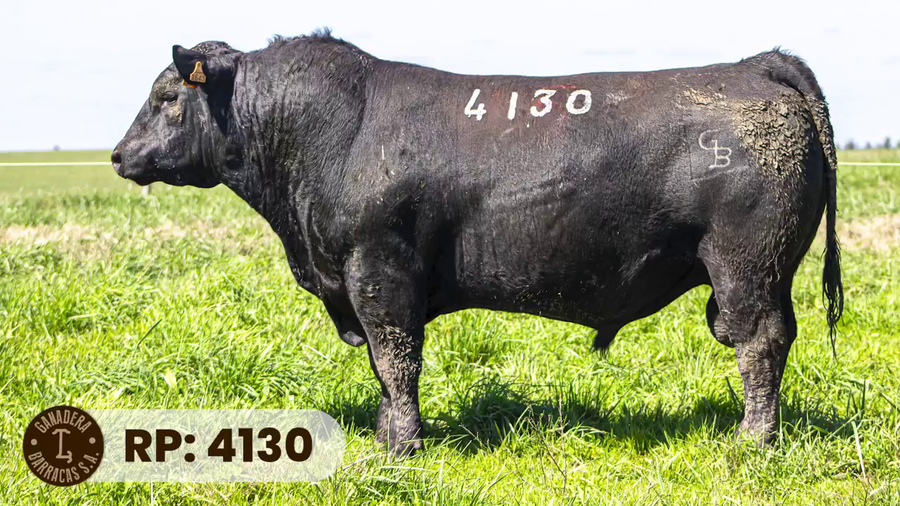 Lote RP 4130
