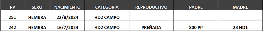 Lote LOTE 7- CAMPO