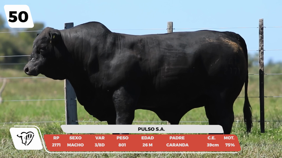 Lote LOTE 50-DE CAMPO