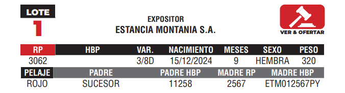 Lote LOTE 1 - JUNIOR