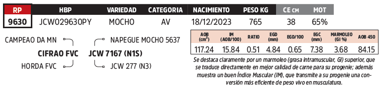 Lote LOTE 18