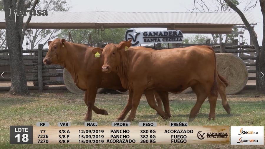 Lote Ganadera Santa Cecilia - Lote 18