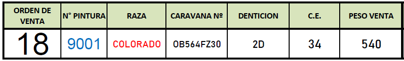 Lote Toro A. Colorado de 2 años.