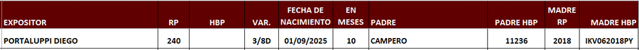 Lote LOTE 8