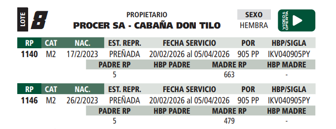 Lote LOTE 8