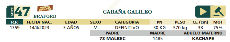 Lote LOTE 47