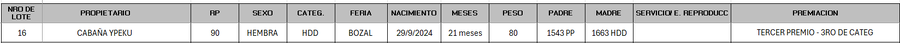 Lote LOTE 16 - BOZAL