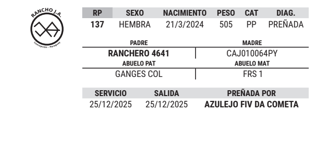 Lote LOTE 20
