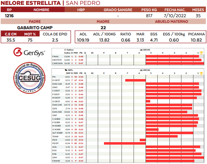 Lote LOTE 51