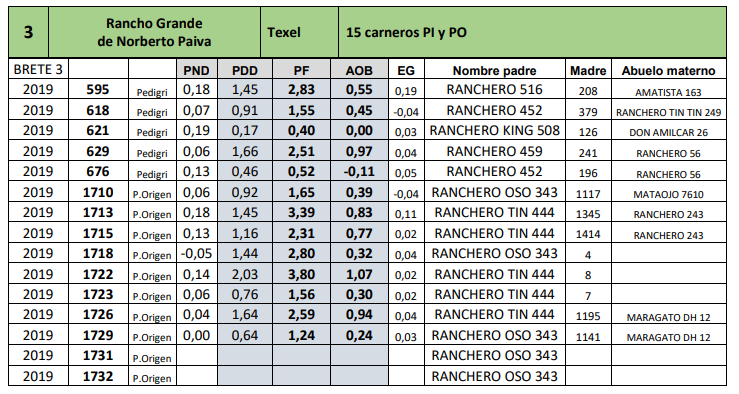 Lote 15 carneros PI y PO