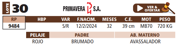 Lote LOTE 30