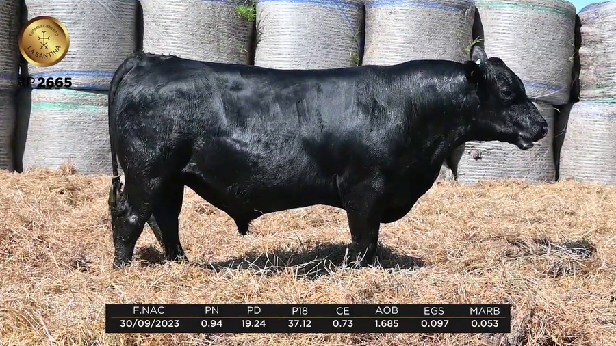 Lote LA SANTINA ENGAGE 1968-2665