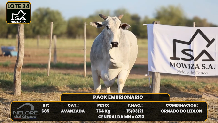 Lote LOTE 34