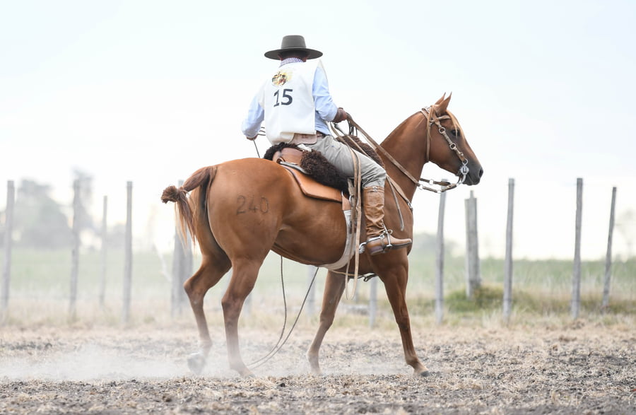 Lote S.E. WHITE SISTER