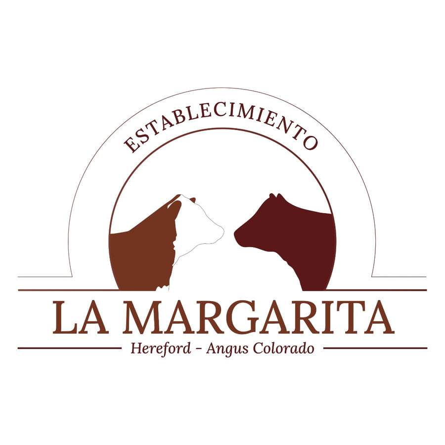 Lote 25 NOVILLITOS POLLED HEREFORD Y COLORADOS DE 305 KG, MARCA LIQUIDA, LOBERIA, PBA.-