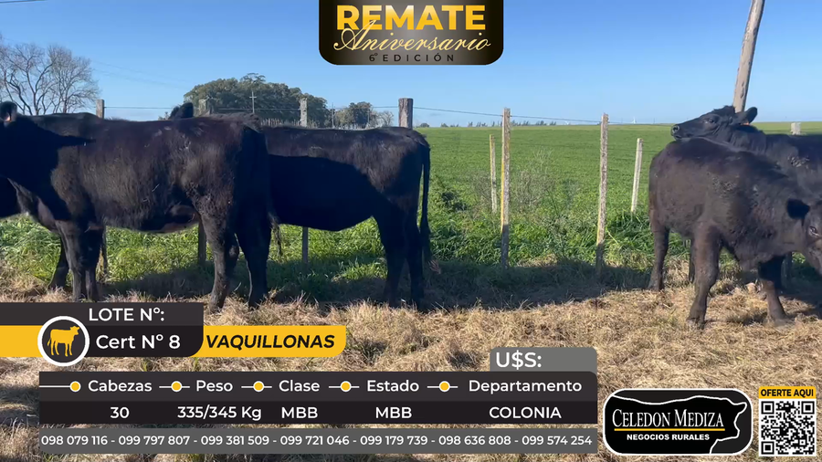 Lote 30 Vaquillonas  en Colonia