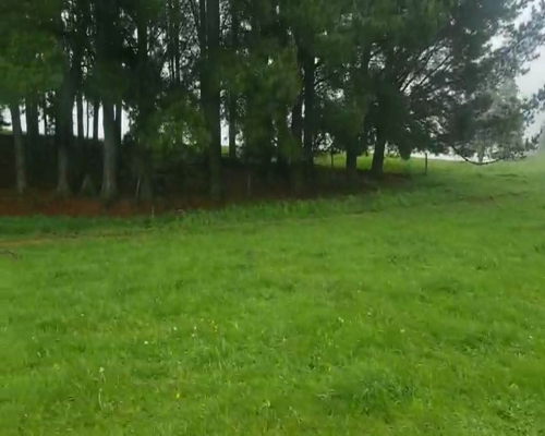 Lote 45 Ternero en Cunco, IX Región Araucanía