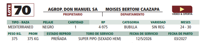 Lote LOTE 70