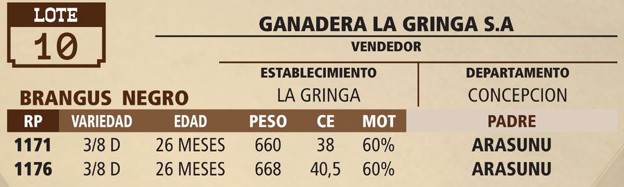 Lote LOTE 10 - VIVO