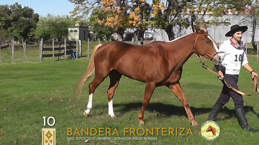 Lote Bandera Fronteriza