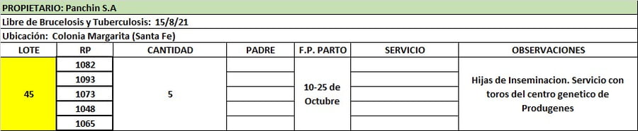 Lote Lote 45 Panchin Sa