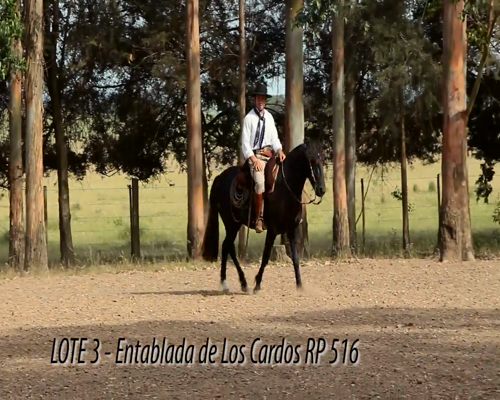 Lote ENTABLADA DE LOS CARDOS