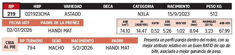 Lote LOTE 37