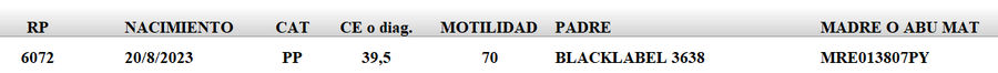 Lote LOTE 64