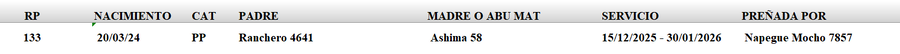 Lote LOTE 18