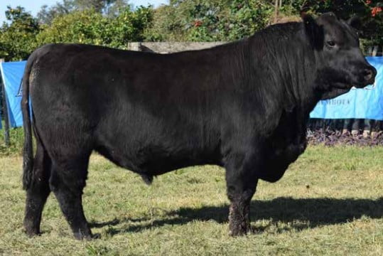 Lote CABAÑA "COEMBOTA" DE CALDERÓN RP 595