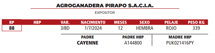 Lote LOTE 21